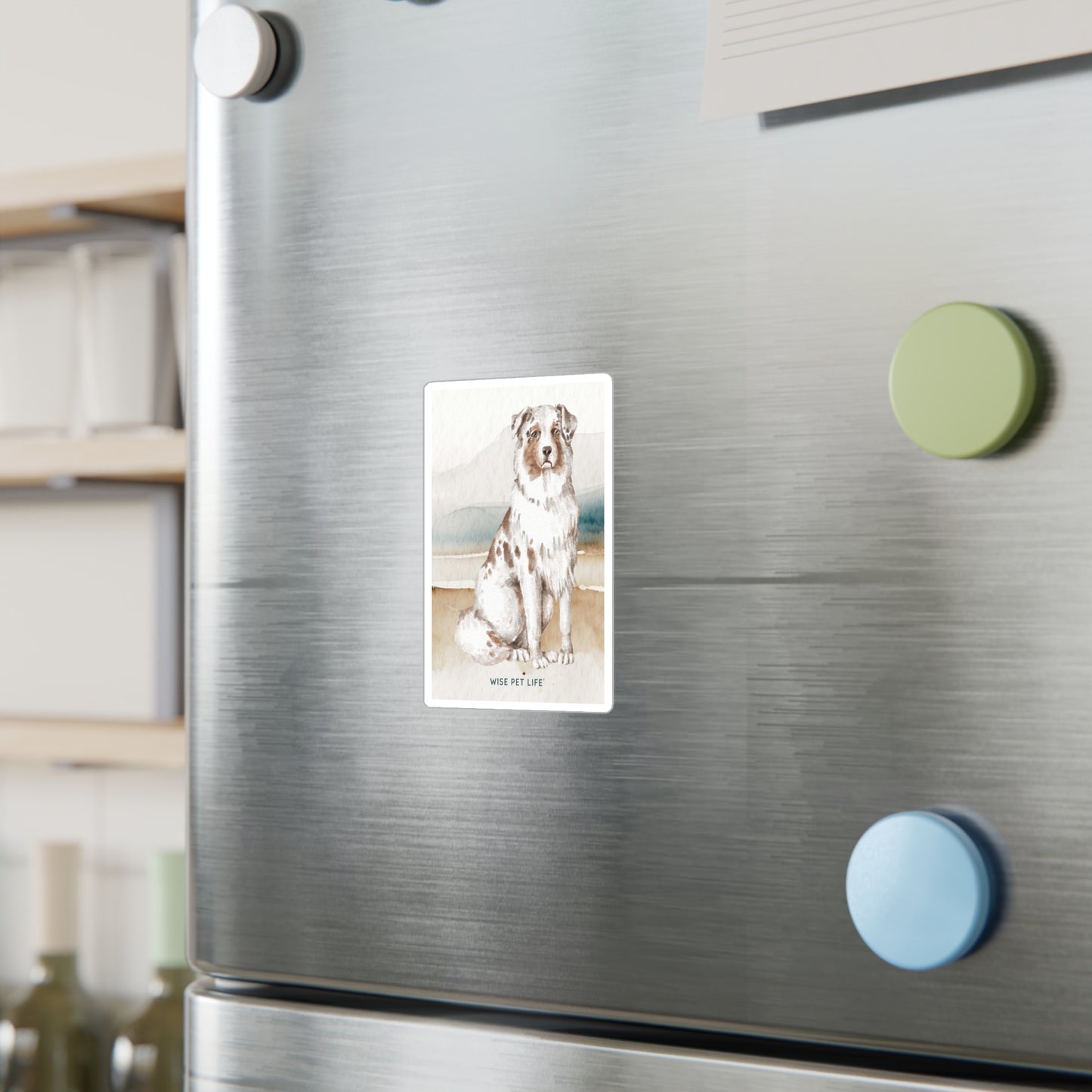 Australian Shepherd Sticker