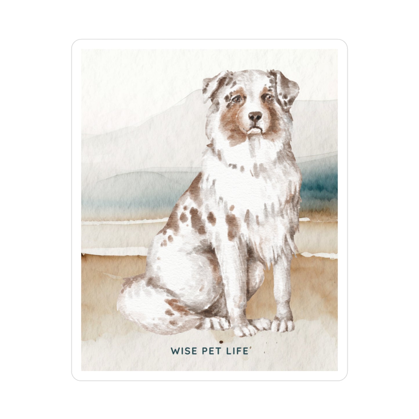 Australian Shepherd Sticker