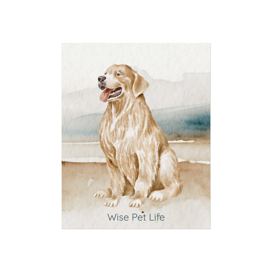 Golden Retriever Fine Art Print