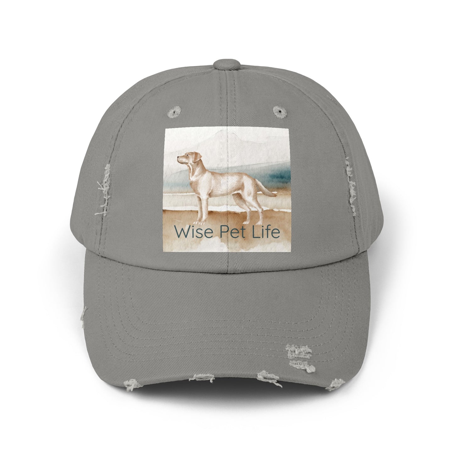 Labrador Retriever Distressed Cap