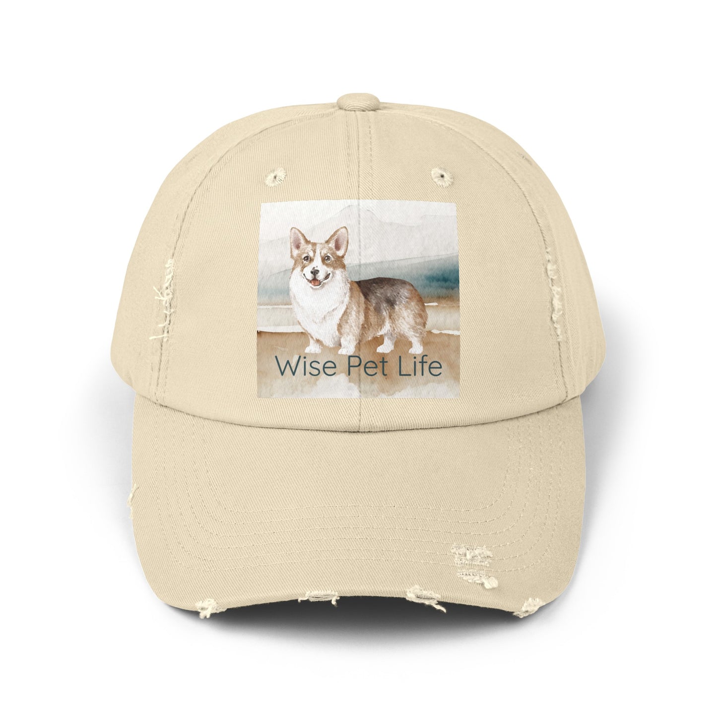 Corgi Distressed Cap