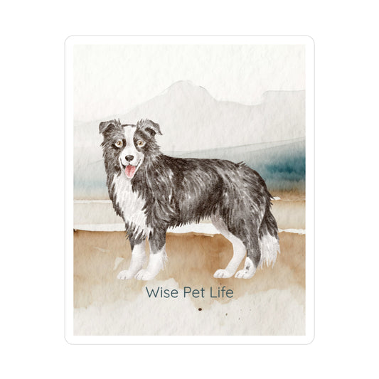 Border Collie Sticker