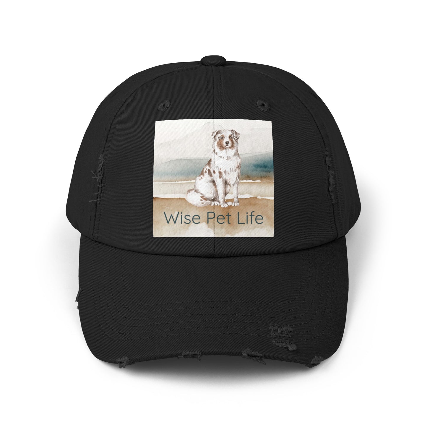 Australian Shepherd Distressed Cap