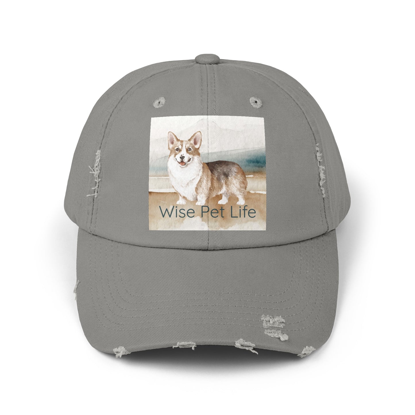 Corgi Distressed Cap