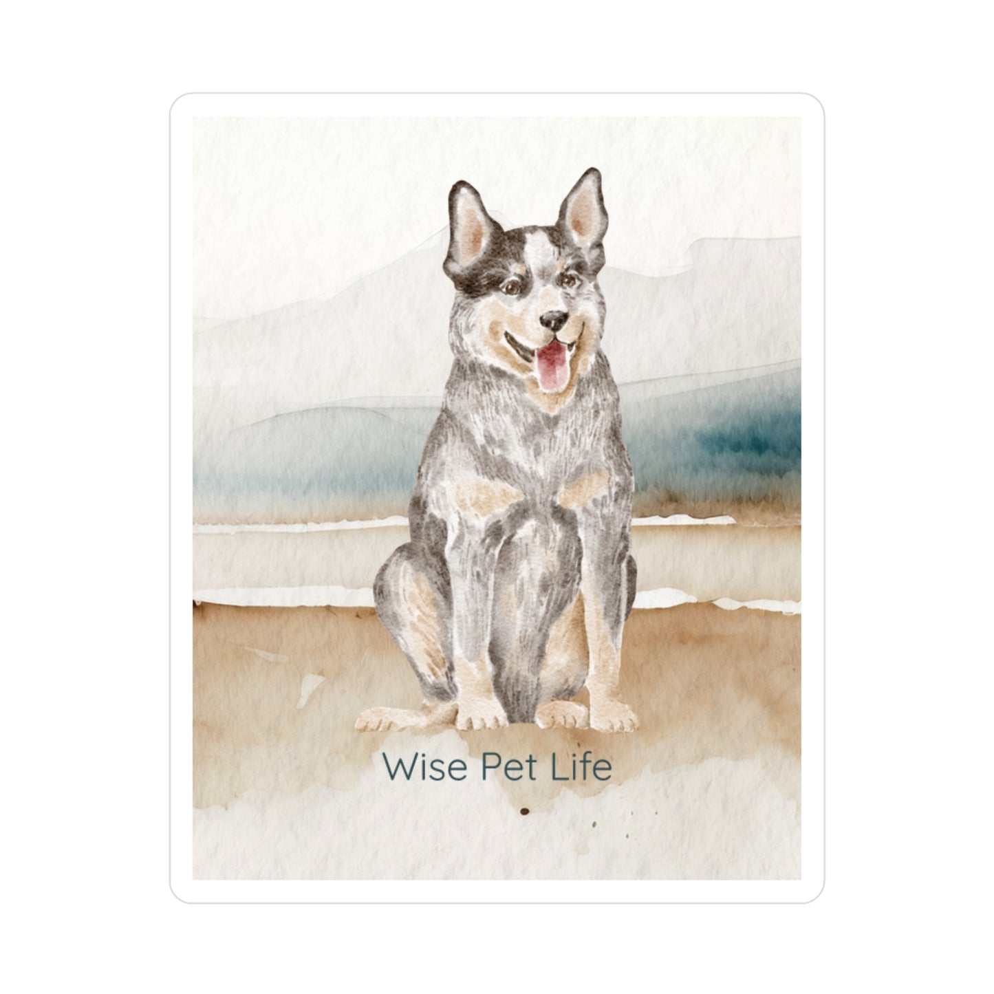 Australian Cattle Dog Sticker