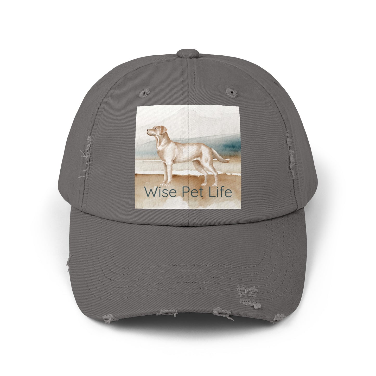 Labrador Retriever Distressed Cap