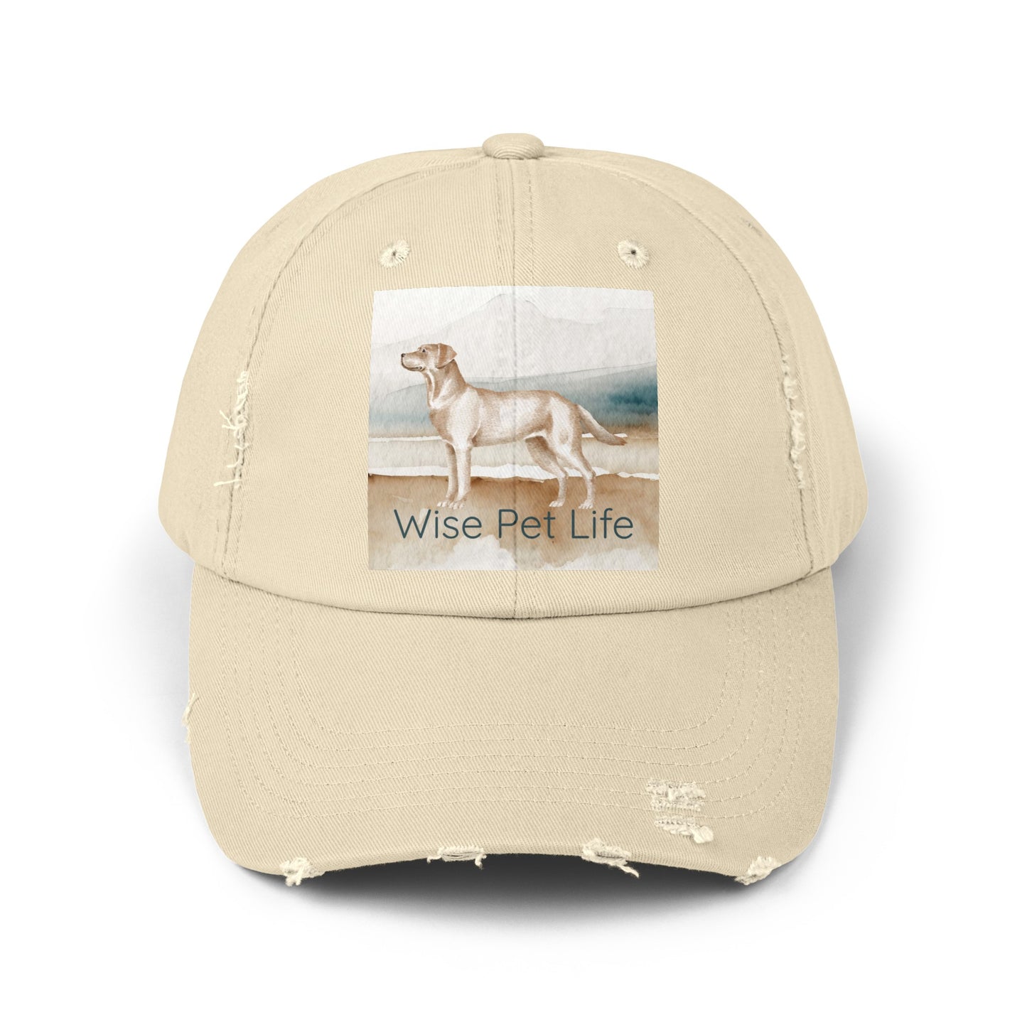 Labrador Retriever Distressed Cap