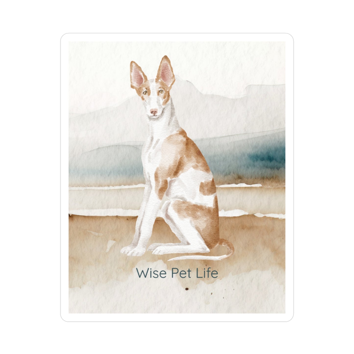 Ibizan Hound Sticker