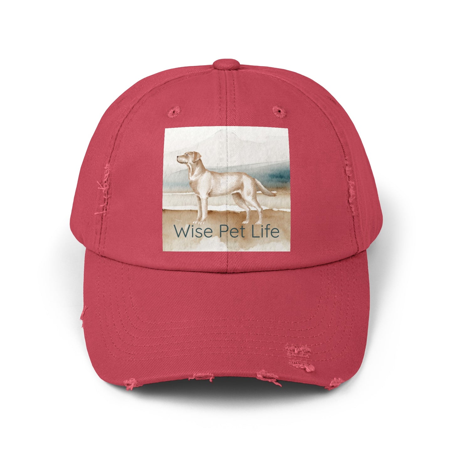 Labrador Retriever Distressed Cap