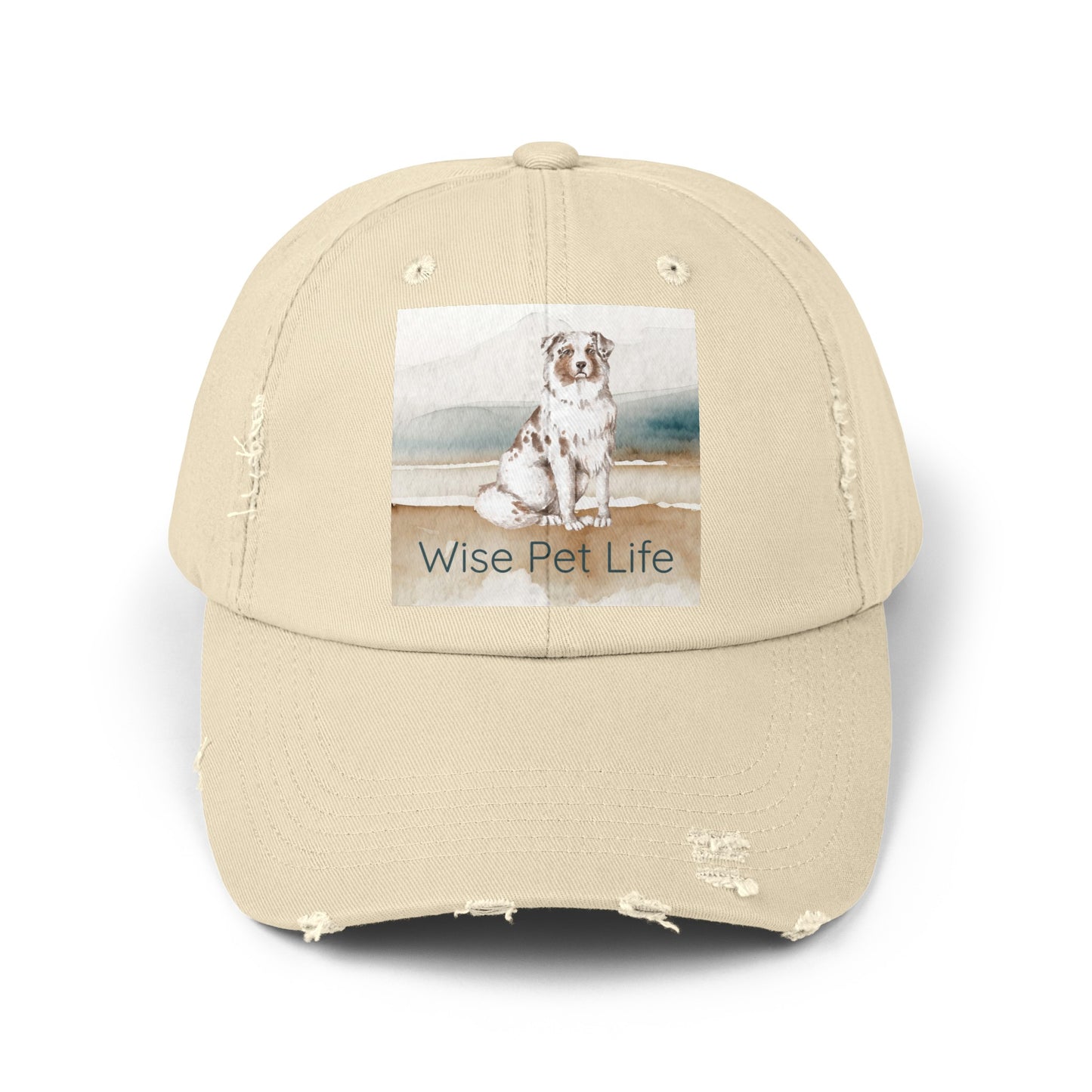 Australian Shepherd Distressed Cap