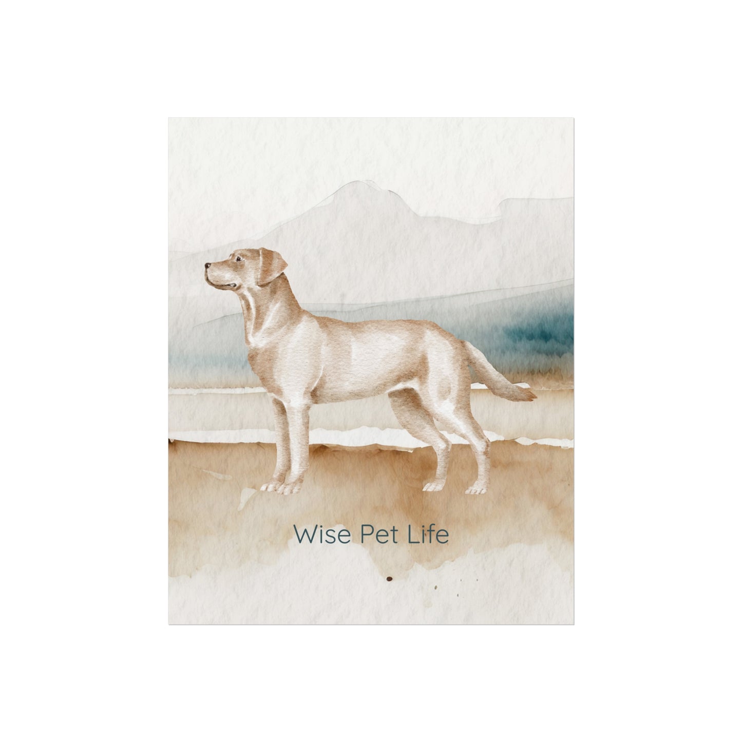 Labrador Retriever Fine Art Print