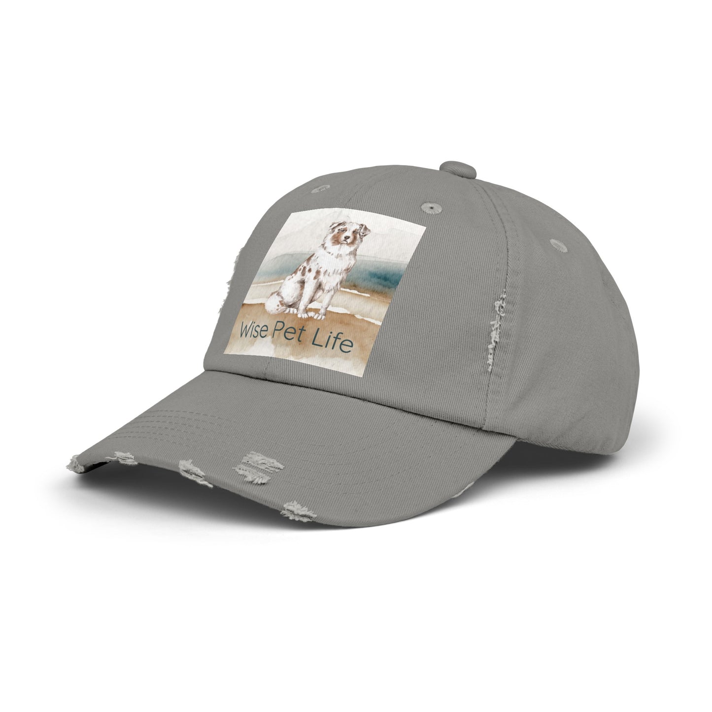 Australian Shepherd Distressed Cap