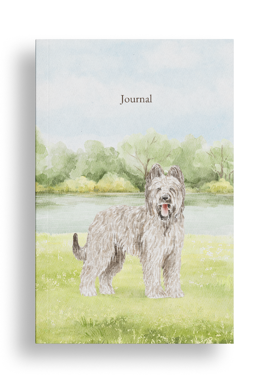 Briard Dog Journal / Diary, Soft Cover