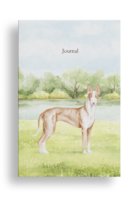 Ibizan Hound Dog Journal / Diary, Soft Cover